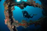 Bali Scuba Diving Holiday - Werner Lau Dive Centre.